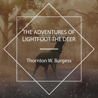 Download Adventures of Lightfoot the Deer by Thornton W. Burgess