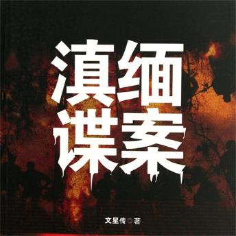 [Chinese] - 滇缅谍案