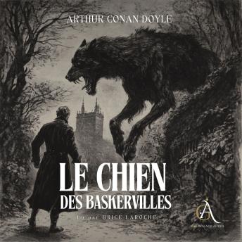 [French] - Le Chien des Baskerville. Sherlock Holmes - Livre Audio