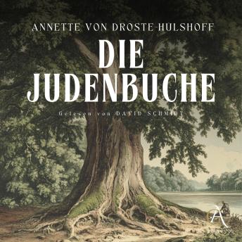 [German] - Die Judenbuche Hörbuch