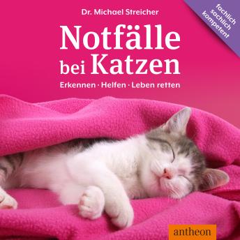 [German] - Notfälle bei Katzen: Erkennen - Helfen - Leben retten