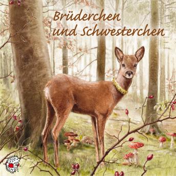 [German] - Brüderchen und Schwesterchen: Klassische Musik und Sprache erzählen