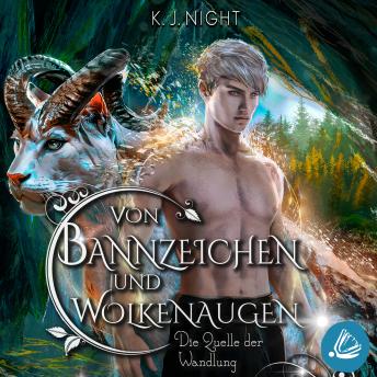 [German] - Die Quelle der Wandlung (Von Bannzeichen und Wolkenaugen Band 2)