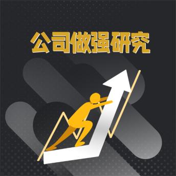 [Chinese] - 公司做强研究