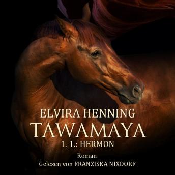 [German] - TAWAMAYA - 1.1.: HERMON: Ein historischer Roman