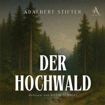 [German] - Der Hochwald - Hörbuch Klassiker