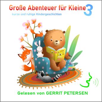 [German] - Große Abenteuer für Kleine 3: Kurze und ruhige Kindergeschichten