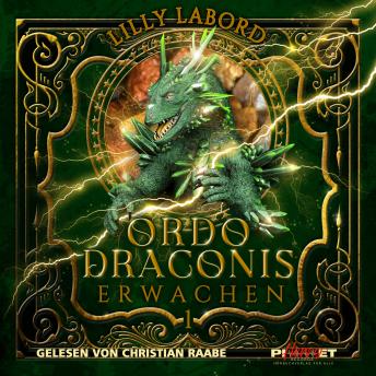 [German] - Ordo Draconis - Erwachen
