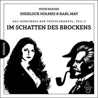 [German] - Im Schatten des Brockens: Das Geheimnis der Teufelskanzel, Teil 2