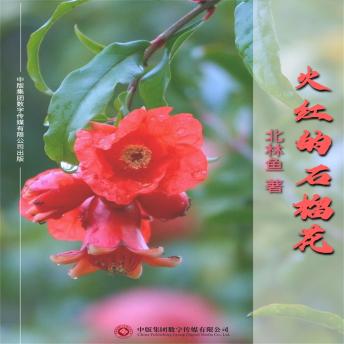 [Chinese] - 火红的石榴花