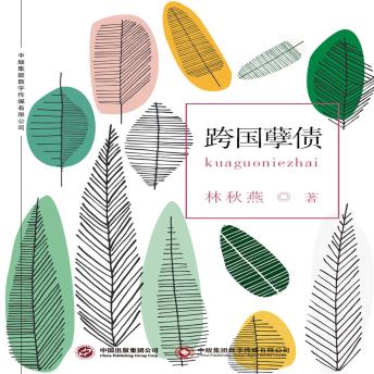 [Chinese] - 跨国孽债