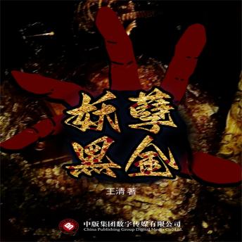 [Chinese] - 妖孽黑金