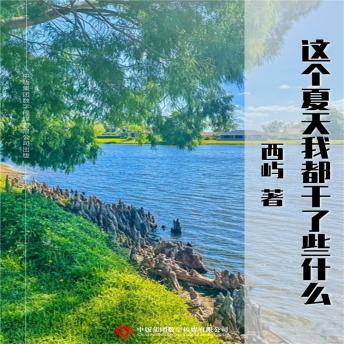 [Chinese] - 这个夏天我都干了些什么