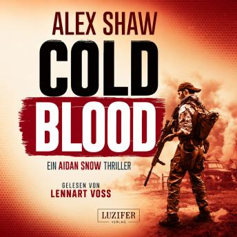 [German] - COLD BLOOD (Aidan Snow 1): Agententhriller · Ukraine-Spionage · SAS-Veteran