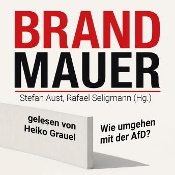 [German] - Brandmauer: Wie umgehen mit der AfD?