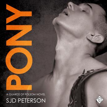 Pony: Guards of Folsom Novels (Unabridged)