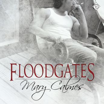 Floodgates (Unabridged)