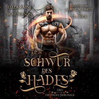 [German] - Der Schwur des Hades - Fantasy Hörbuch