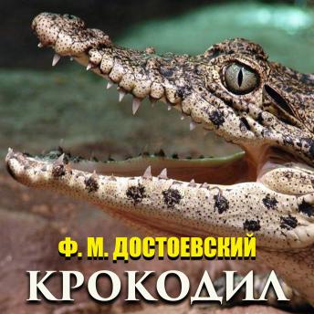 [Russian] - Крокодил