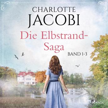 Immerse Yourself In The Award-Winning Full Audiobook Now, Busy Professionals!