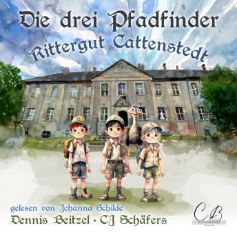 [German] - Die drei Pfadfinder: Rittergut Cattenstedt