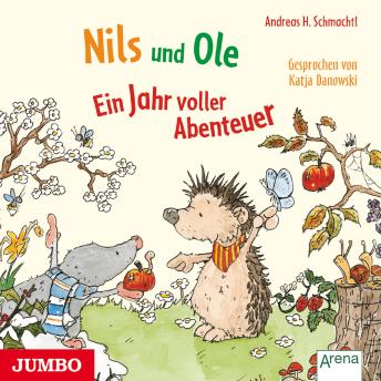 [German] - Nils und Ole. Ein Jahr voller Abenteuer [ungekürzt]