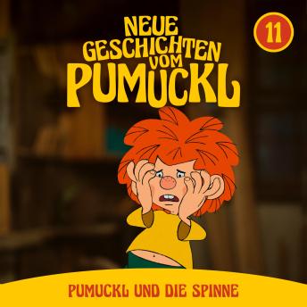 [German] - 11: Pumuckl und die Spinne (Neue Geschichten vom Pumuckl)