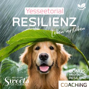 [German] - Resilienz, die 7 Säulen der mentalen Stärke, mit Selbsttest im Hörbuch zur Stärkung deiner inneren Widerstandskraft: Yesseetorial Coaching & Ratgeber. Leben verstehen mit Yesseetorials, Audiotools, Affirmationen, Meditationen