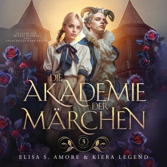 [German] - Die Akademie der Märchen 3 Hörbuch