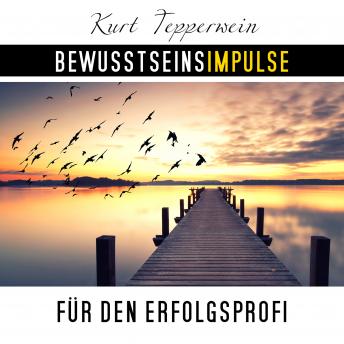 [German] - Bewusstseinsimpulse für den Erfolgsprofi