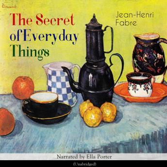 The Secret of Everyday Things: Unabridged
