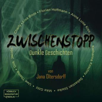 Zwischenstopp - Dunkle Geschichten (Ungekürzt), Audio book by Jana Oltersdorff