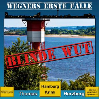 [German] - Blinde Wut - Wegners erste Fälle - Hamburg Krimi, Band 3 (ungekürzt)