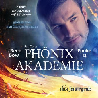 [German] - Das Feuergrab - Phönixakademie, Band 12 (ungekürzt)