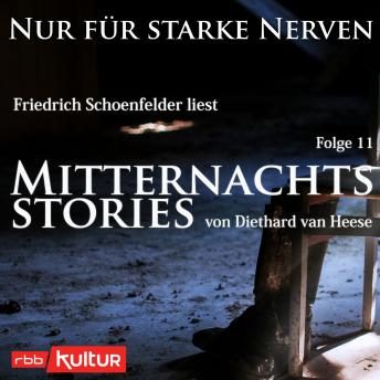 [German] - Mitternachtsstories von Diethard van Heese - Nur für starke Nerven, Folge 11 (Ungekürzt)