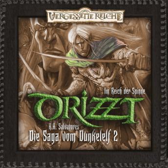 [German] - DRIZZT, Folge 2: Im Reich der Spinne