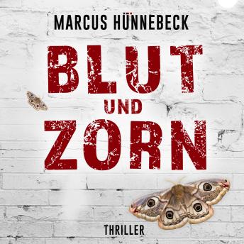 [German] - Blut und Zorn - Drosten und Sommer, Band 3 (ungekürzt)