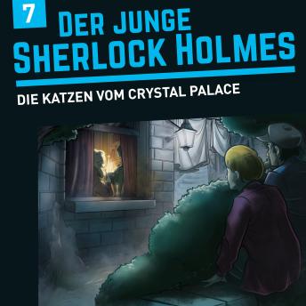 Der junge Sherlock Holmes, Folge 7: Die Katzen vom Crystal Palace
