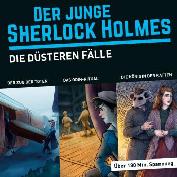 [German] - Der junge Sherlock Holmes, Die düsteren Fälle (Themen-Box), Folgen 2, 5, 14 (ungekürzt)