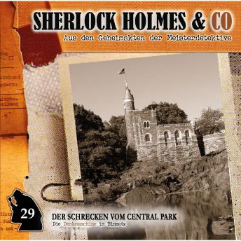 Sherlock Holmes & Co, Folge 29: Der Schrecken vom Central Park