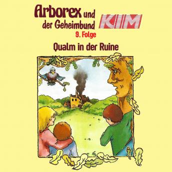 Arborex und der Geheimbund KIM, Folge 9: Qualm in der Ruine