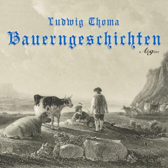 [German] - Bauerngeschichten (Hörspiel)