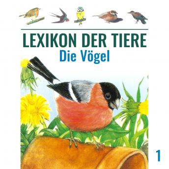 [German] - Lexikon der Tiere, Folge 1: Die Vögel