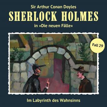 Sherlock Holmes, Die neuen Fälle, Fall 29: Im Labyrinth des Wahnsinns