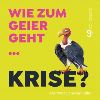 [German] - Manfred Schweigkofler, Co-Creare, Wie zum Geier geht Krise?
