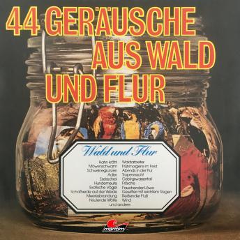 Download 44 Geräusche aus Wald und Flur by Geräusche In Stereo