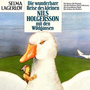 Nils Holgersson, Folge 1: Die wunderbare Reise des kleinen Nils Holgersson mit den Wildgänsen