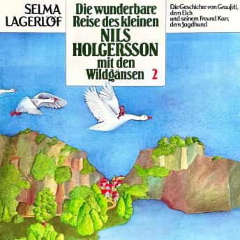 Nils Holgersson, Folge 2: Die wunderbare Reise des kleinen Nils Holgersson mit den Wildgänsen