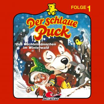 [German] - Der schlaue Puck, Folge 1: Das Wichtelmännchen im Winterwald