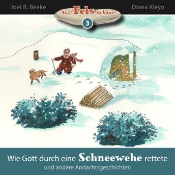 [German] - Wie Gott durch eine Schneewehe rettete und andere Andachtsgeschichten: Auf Fels gebaut - Band 3